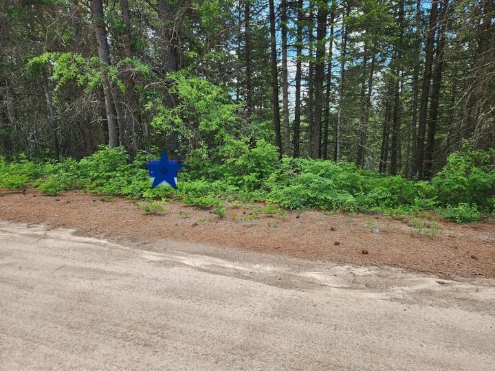 Property Photo: Nna Buck Creek Rd WA 99148