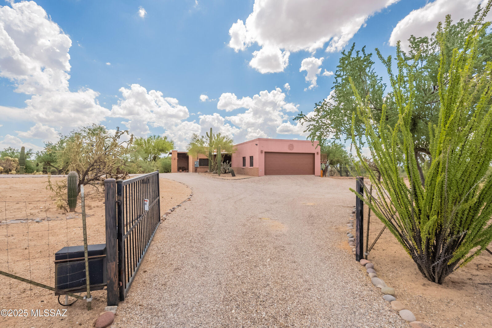 Property Photo:  10301 N Camino De Oeste  AZ 85742 