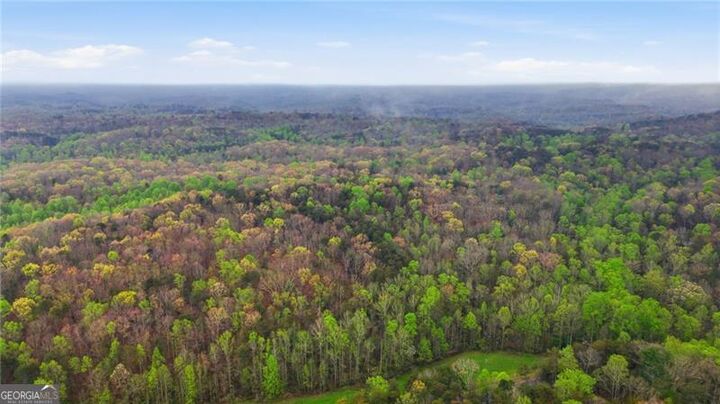 Property Photo:  0 Fern Valley Road  GA 30534 