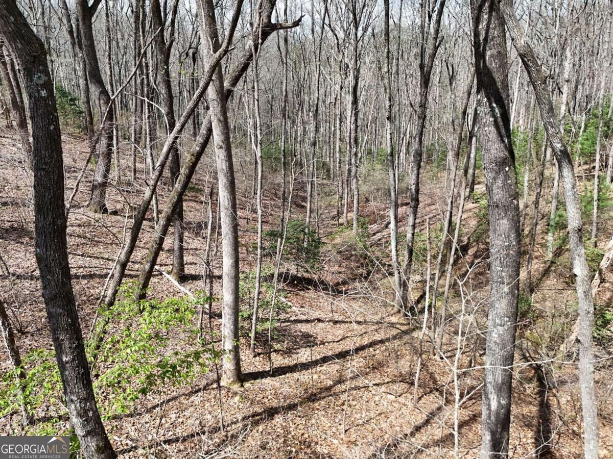 Property Photo:  L129/124 Laurel Crossing  GA 30513 