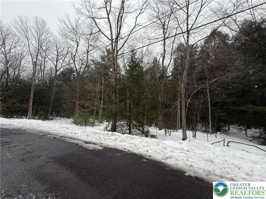 Property Photo:  Dryden Drive  PA 18210 