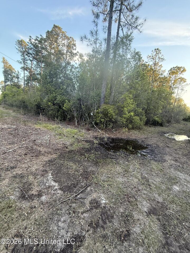 Property Photo:  13816 Forts Lake Road  MS 39562 
