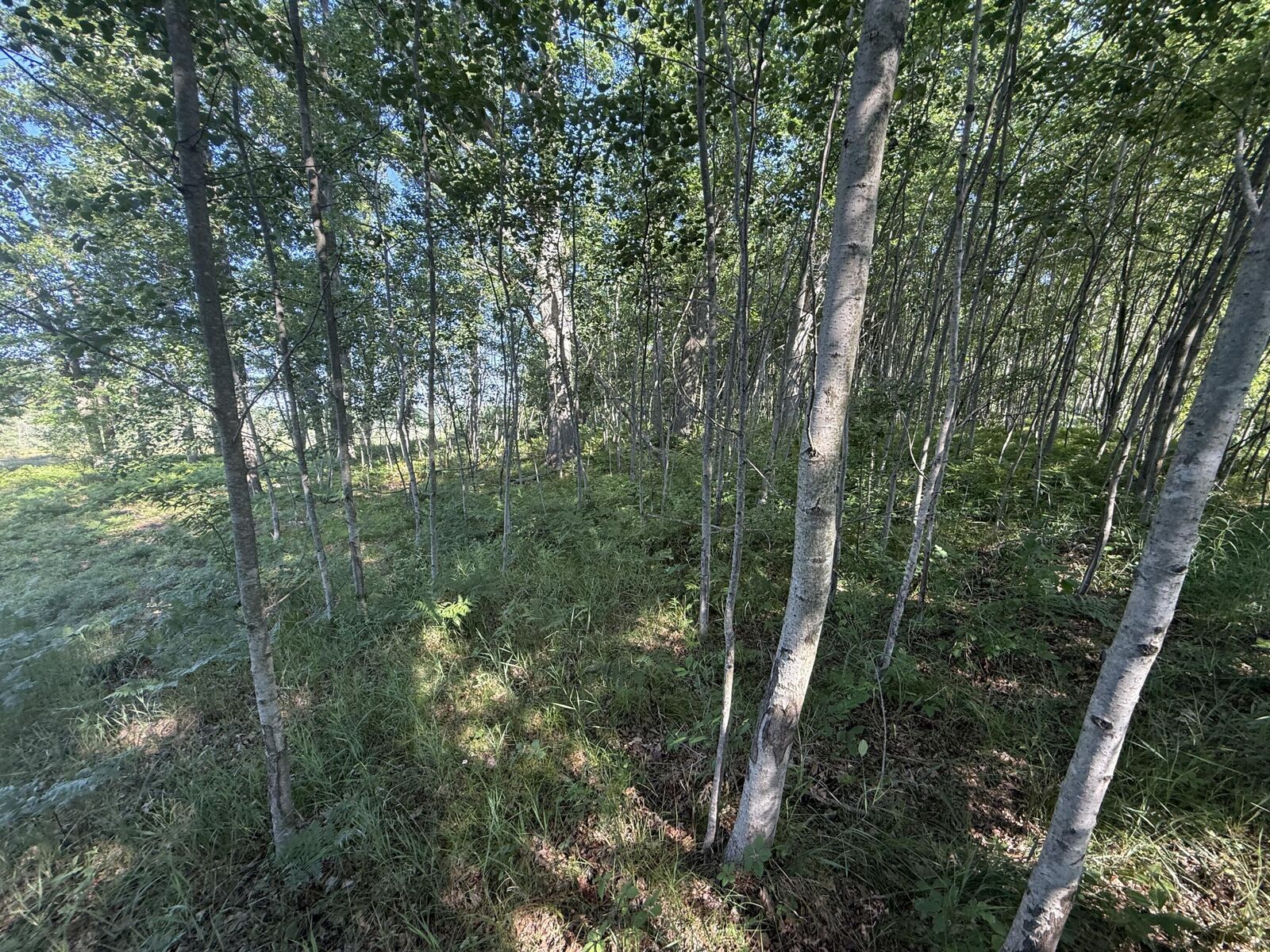 Property Photo:  W Royal Road  MI 49346 
