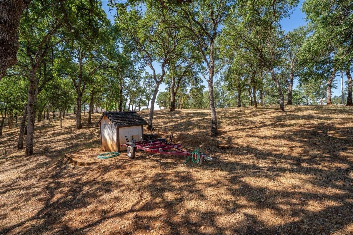 Property Photo:  21350 Wilcox Road  CA 96080 