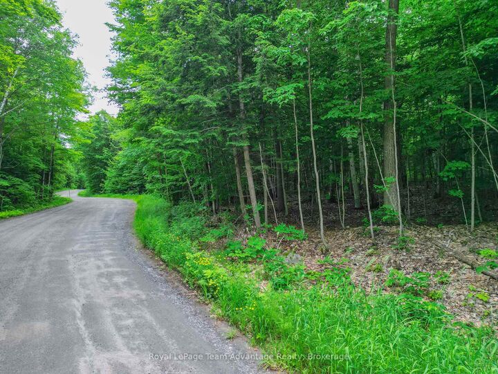 Property Photo:  0 Mill Lake Trail  ON P2A 2W9 