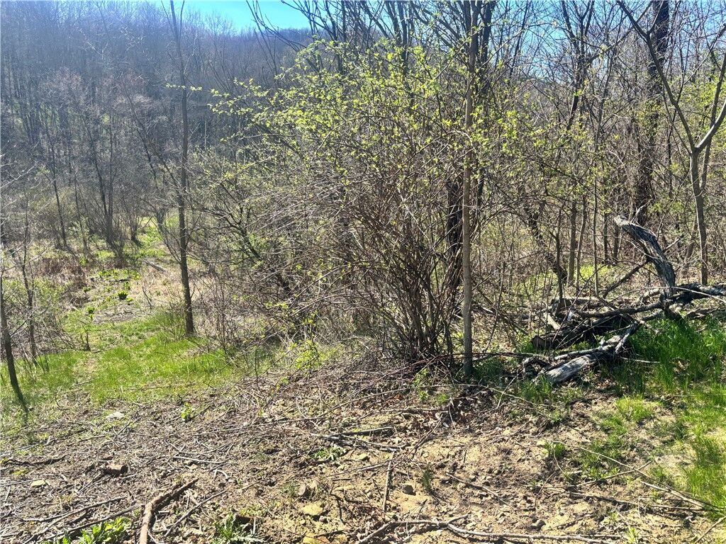 Property Photo: 283 McClain Rd PA 15010