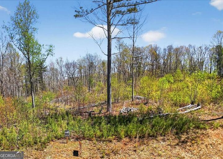 Property Photo:  0 Twisted Oak Road Lot 440  GA 30175 