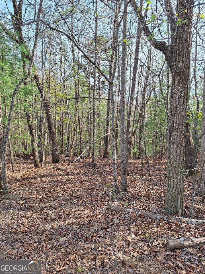Property Photo:  0 Mull Lane Circle  GA 30560 