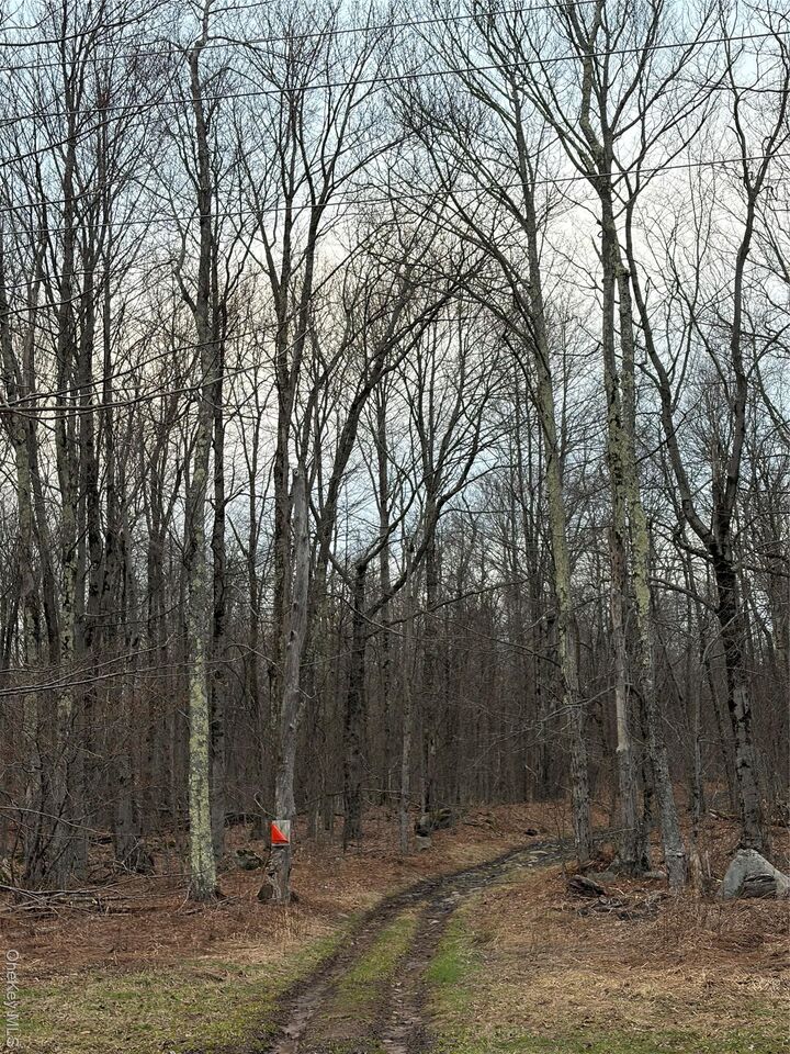Property Photo:  Fox Mountain  NY 12758 
