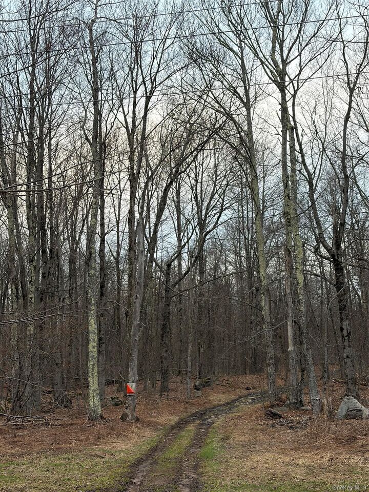 Property Photo:  Fox Mountain  NY 12758 
