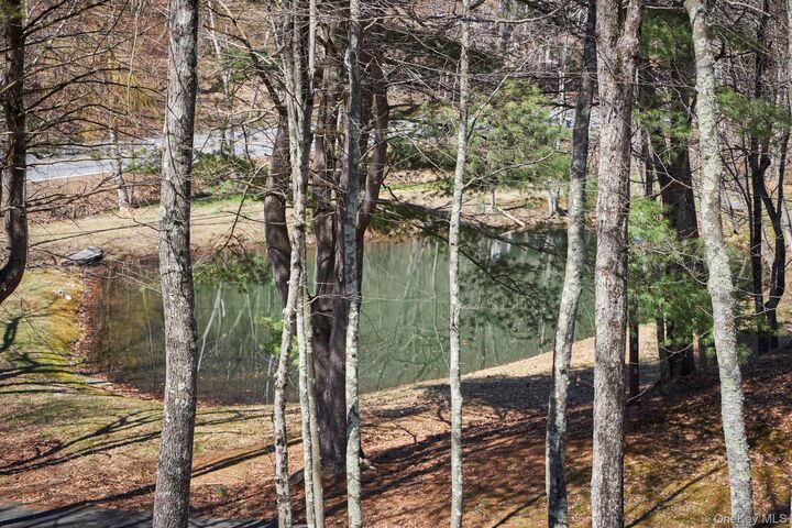 Property Photo:  611 N Clove Road  NY 12545 