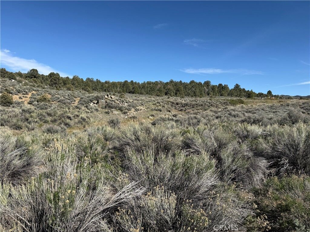 Property Photo:  0 310-240-001 Kennedy Meadows Road  CA 93527 
