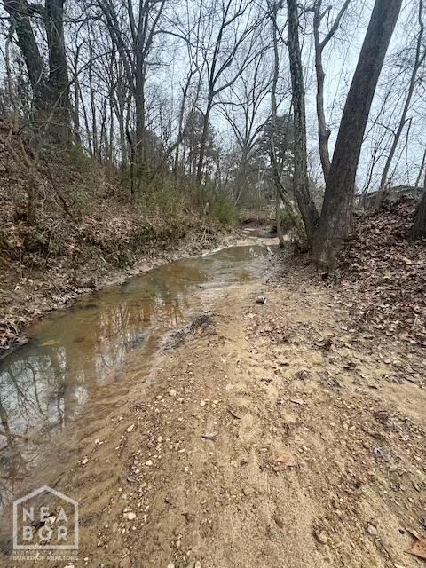 Property Photo:  160 Dye Street  AR 72324 