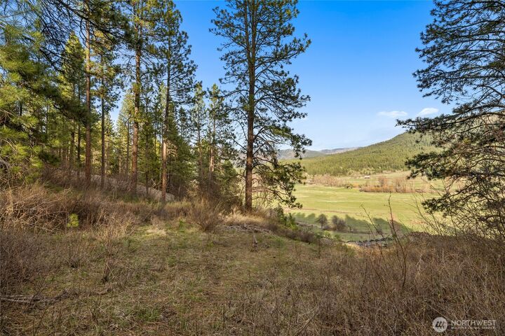 Property Photo: 250 Fir Tree Drive WA 98922