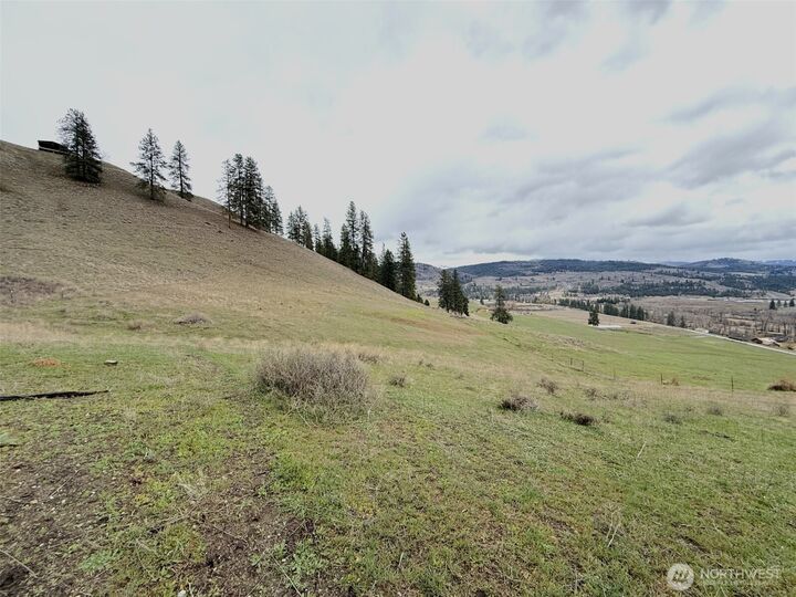 Property Photo:  0 Tbd  Cottonwood Creek Road  WA 99118 
