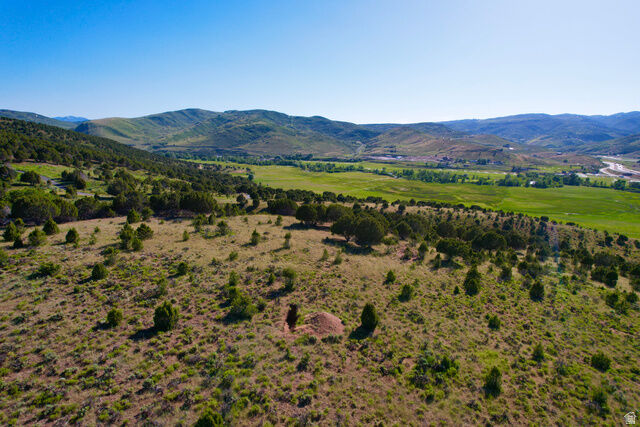 Property Photo:  167 Lewis View Lsv-1  UT 84017 