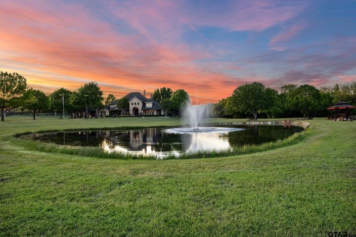Property Photo: 725 Locust Dr. TX 75154