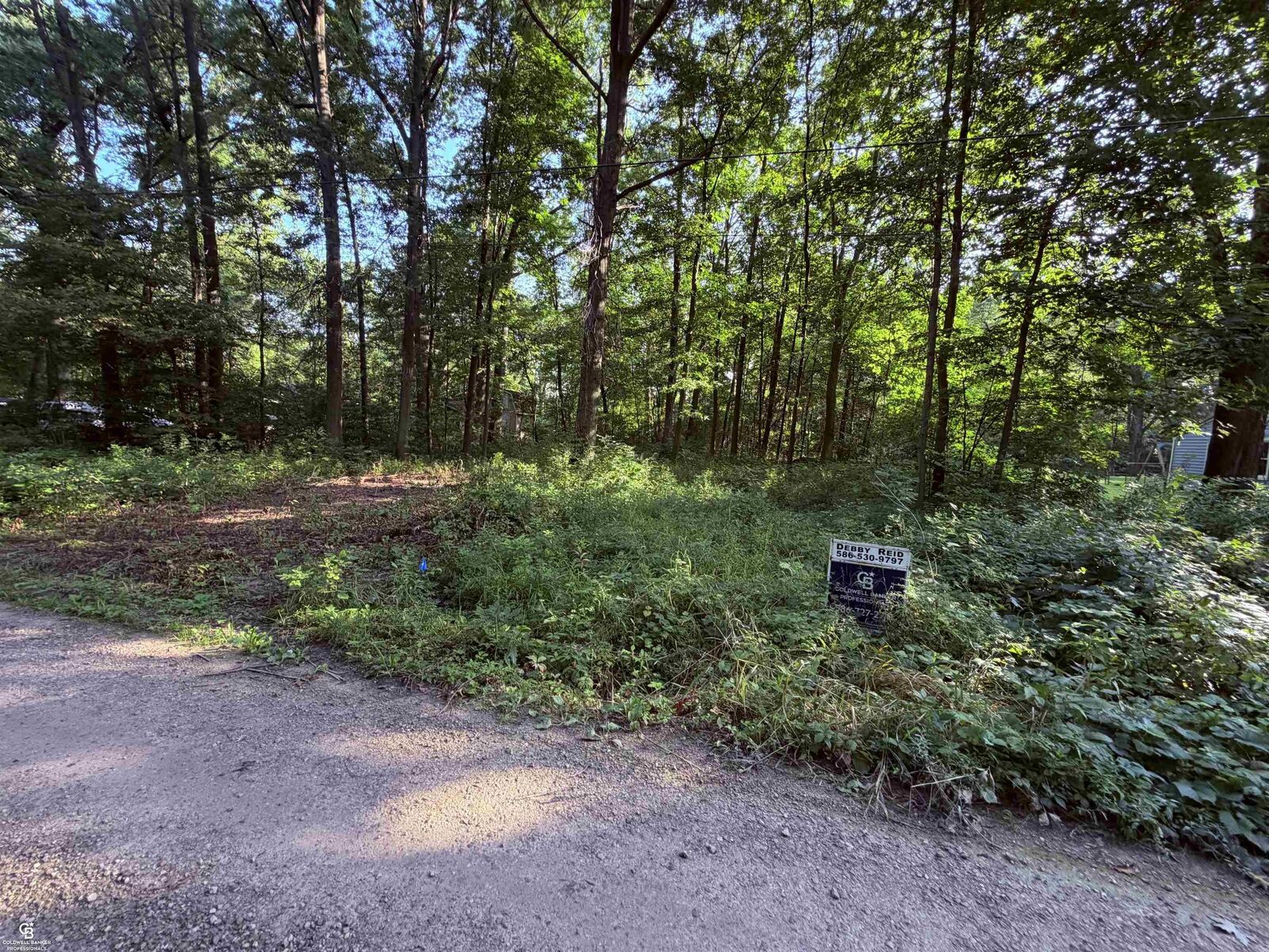 Property Photo:  0 Woodland Ln Lane  MI 48054-0000 