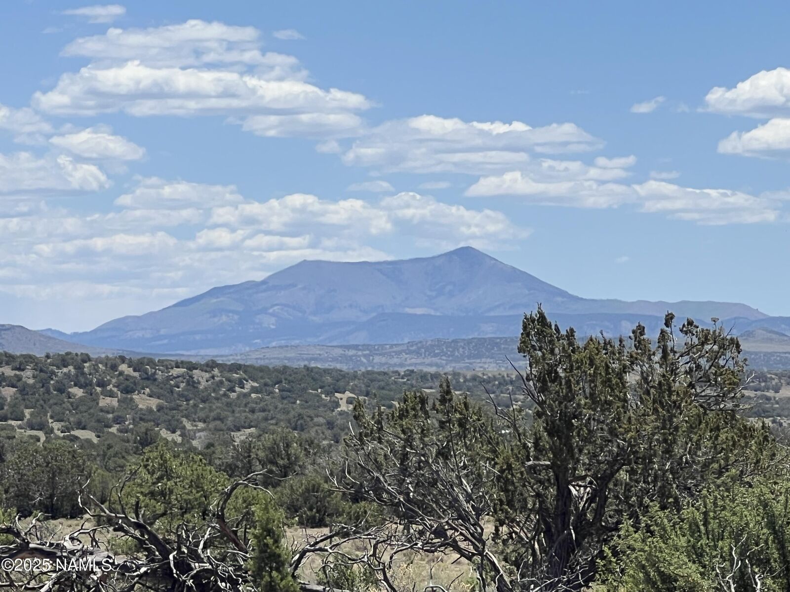 Property Photo:  8755 S Rim Ranch Road  AZ 86046 