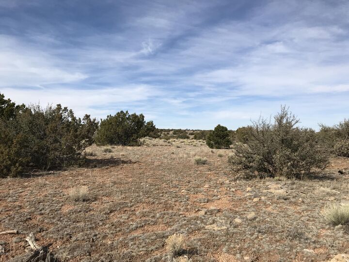 Property Photo:  5597 S Cattle Tank Road  AZ 86046 