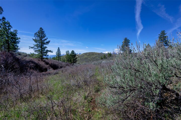 Property Photo:  Lot 10 Sapphire Ridge  MT 59833 