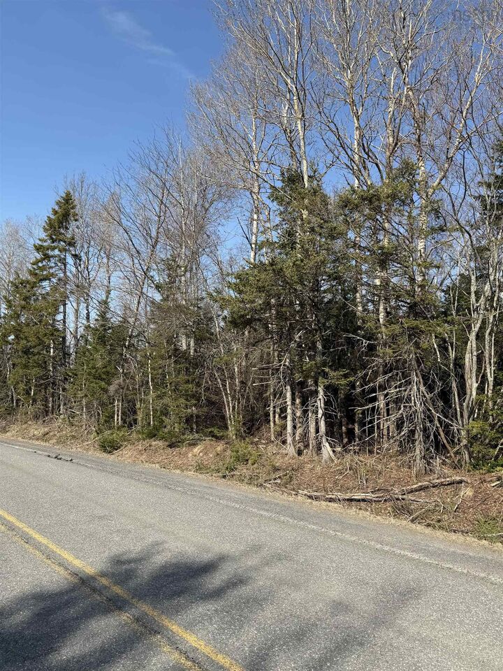 Lot C Alma Road — photo 1