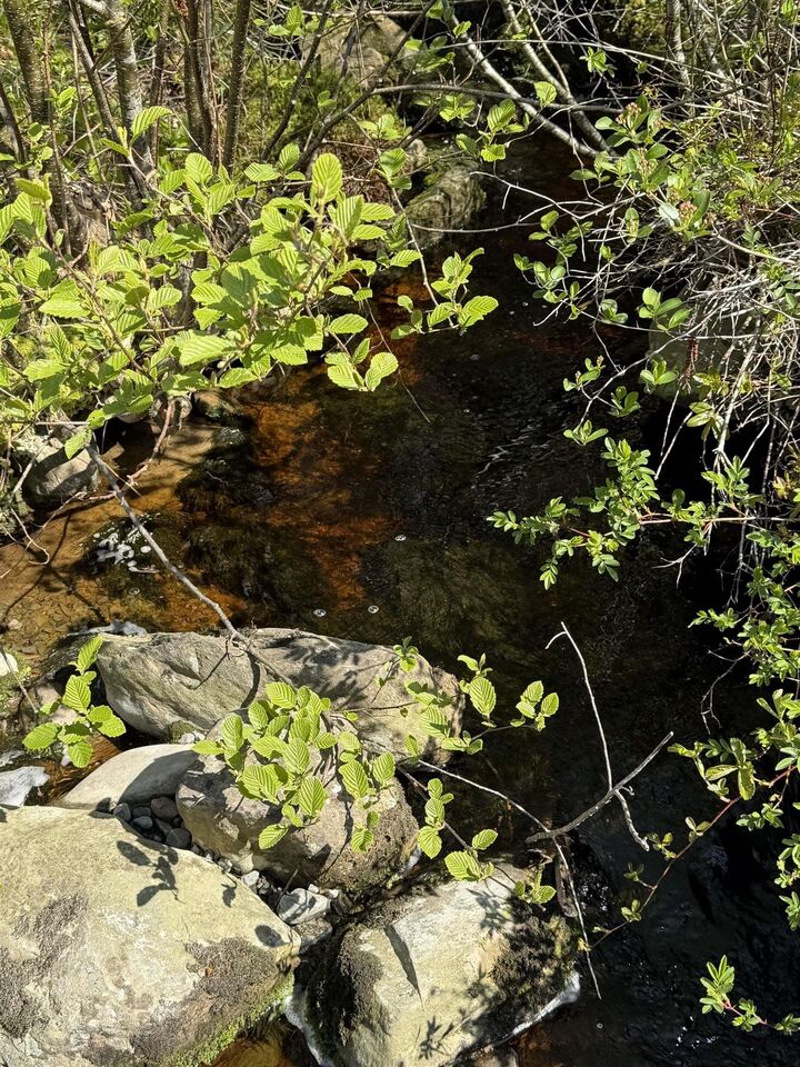 Property Photo: 523 Little Liscomb Road NS B0J 2G0