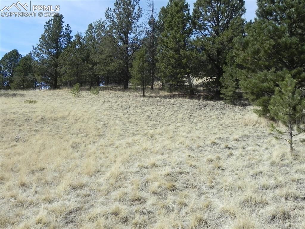 Property Photo:  1058 Monarch Drive  CO 80813 