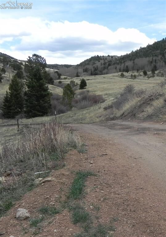 Property Photo:  521 Monarch Drive  CO 80813 