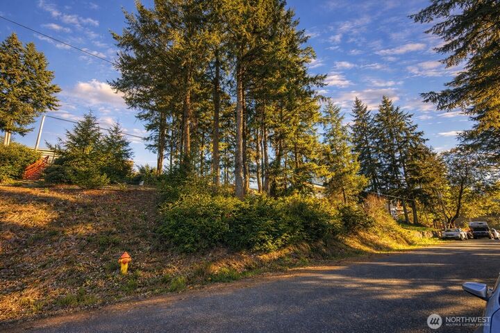 Property Photo: 90 E Lakeview Drive WA 98584