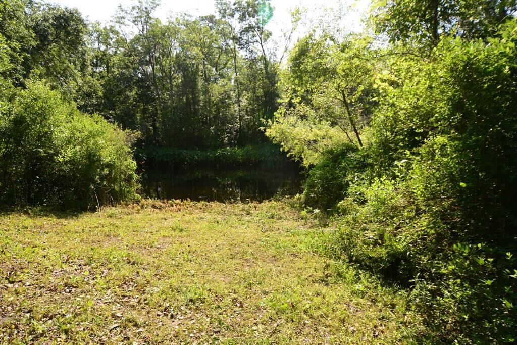 Property Photo: Parcel 2 Peeples Road FL 32097