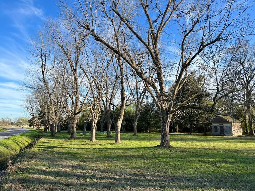 Property Photo:  00 Brodie Street  SC 29146 