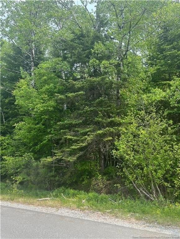430 Bradley Lake Road — photo 1