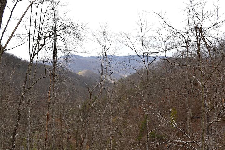 Property Photo:  Snake Run Rd  WV 24910 