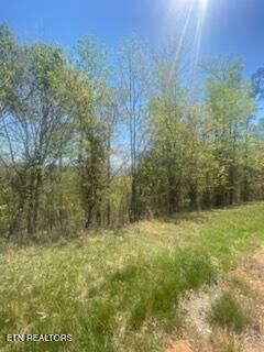 Property Photo:  Lot 548 Marble Point Way  TN 37825 