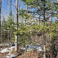 Property Photo: Lt0 US Highway 63 - WI 54843