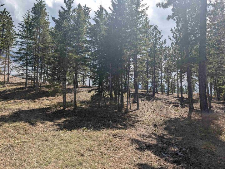 Property Photo:  Lot 14 Block 5 Overlook Court  SD 57754 