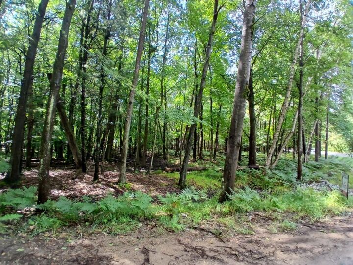 Property Photo: 4750 N Ridge Road MI 49436