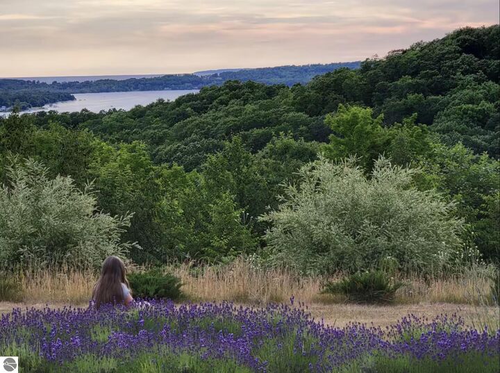 Property Photo:  1461 N Eagle Highway  MI 49653 