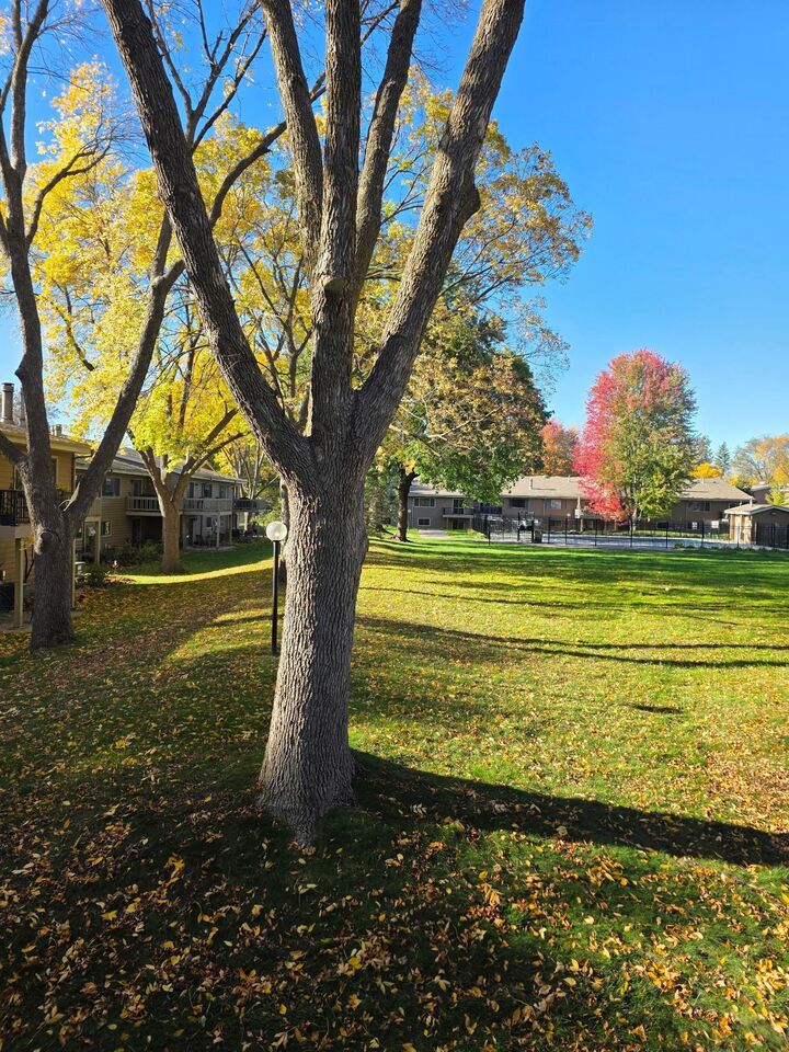 Property Photo: 14244 Chestnut Drive MN 55347