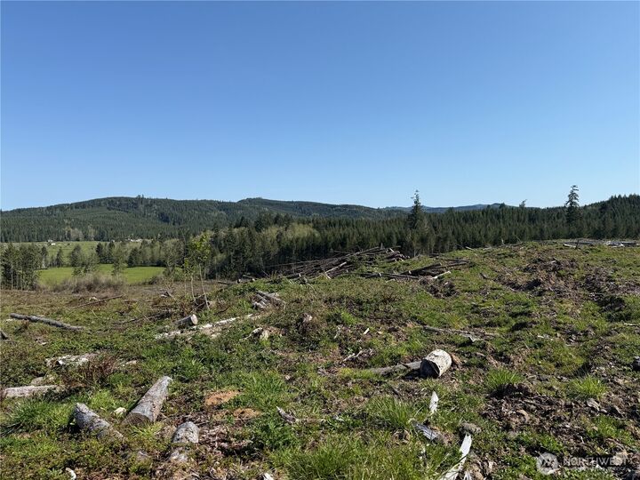 Property Photo:  4 Xx  Oppelt Road  WA 98532 