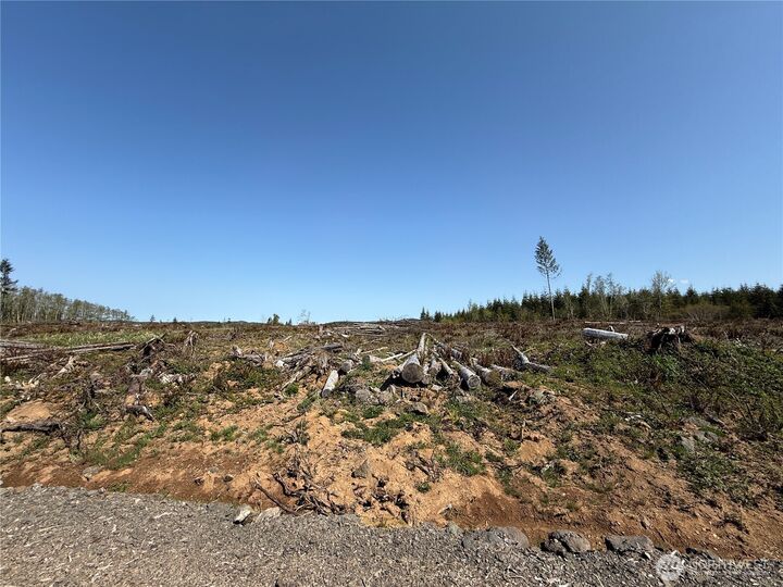 Property Photo:  7 Xx  Centralia Alpha Road  WA 98532 