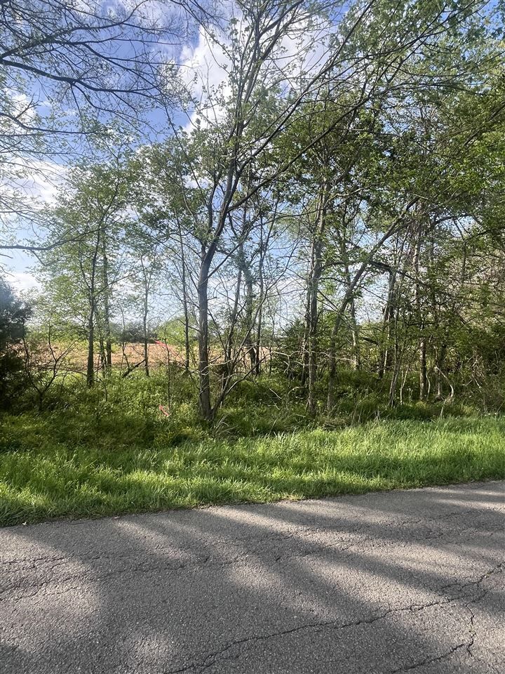 Property Photo:  Lot 15 Antioch Church Road  KY 42280 