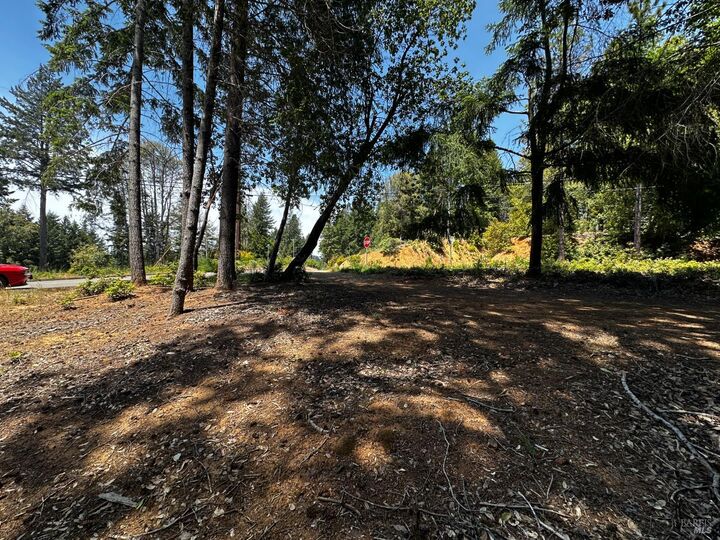 Property Photo:  25895 Madrone Drive  CA 95490 