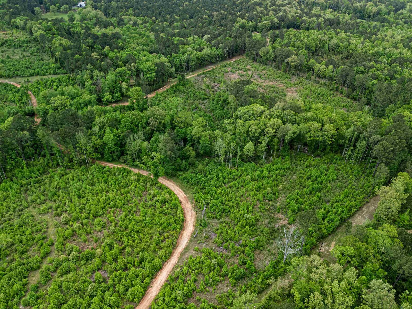 Property Photo:  Tbd Liberty Two  TX 75657 