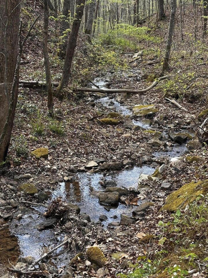 Property Photo:  0 Long Branch Road 0  KY 40445 