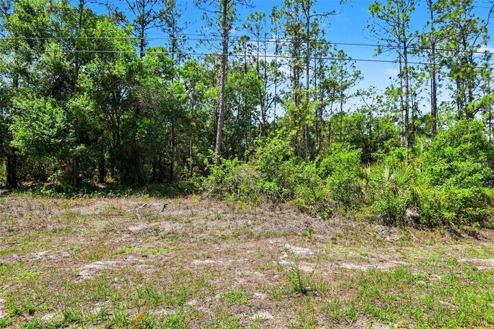 Property Photo:  711 Wellington Avenue  FL 33972 