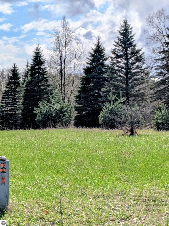 Property Photo:  1097 Lincoln Drive  MI 48893 