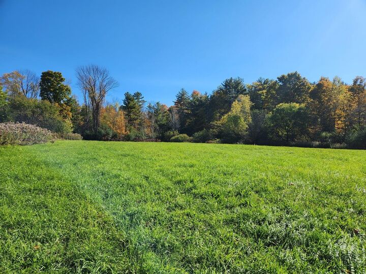 Property Photo:  237 Shackett Road  VT 05733 