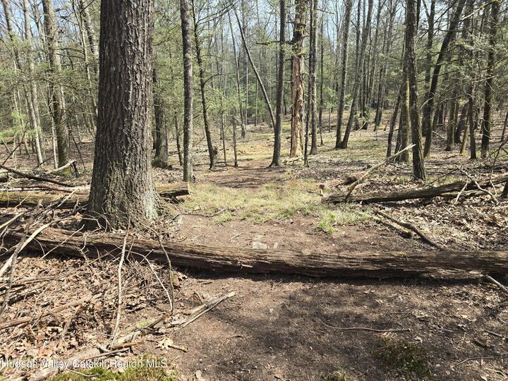 Property Photo:  Lot #5 Evergreen  NY 12477 